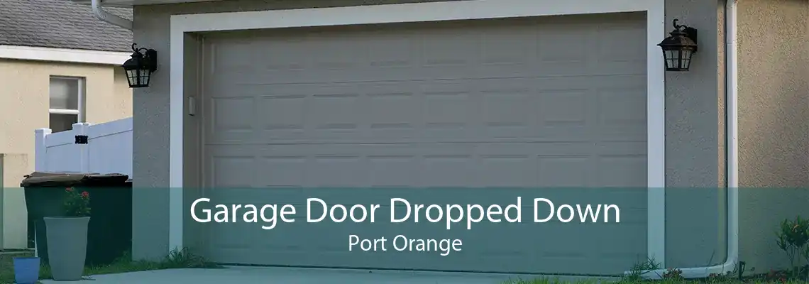 Garage Door Dropped Down Port Orange