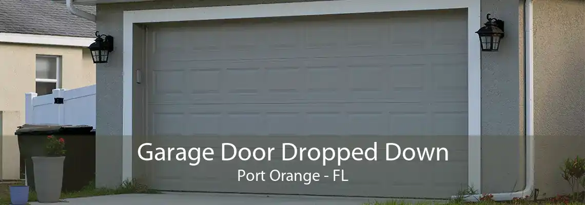 Garage Door Dropped Down Port Orange - FL