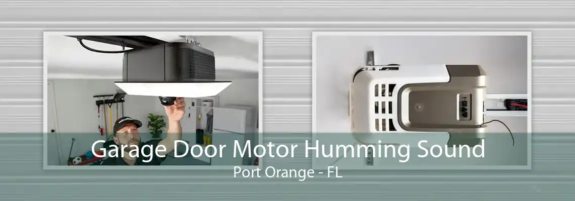 Garage Door Motor Humming Sound Port Orange - FL