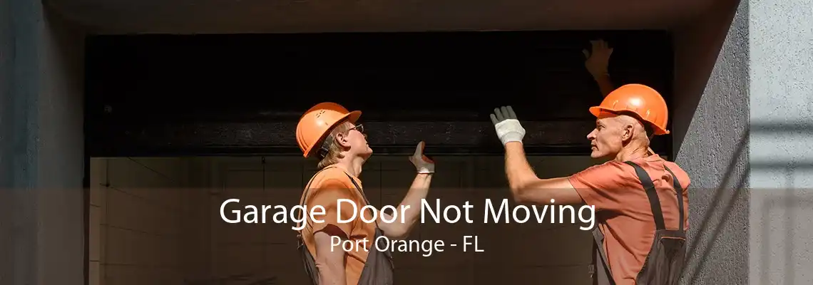 Garage Door Not Moving Port Orange - FL