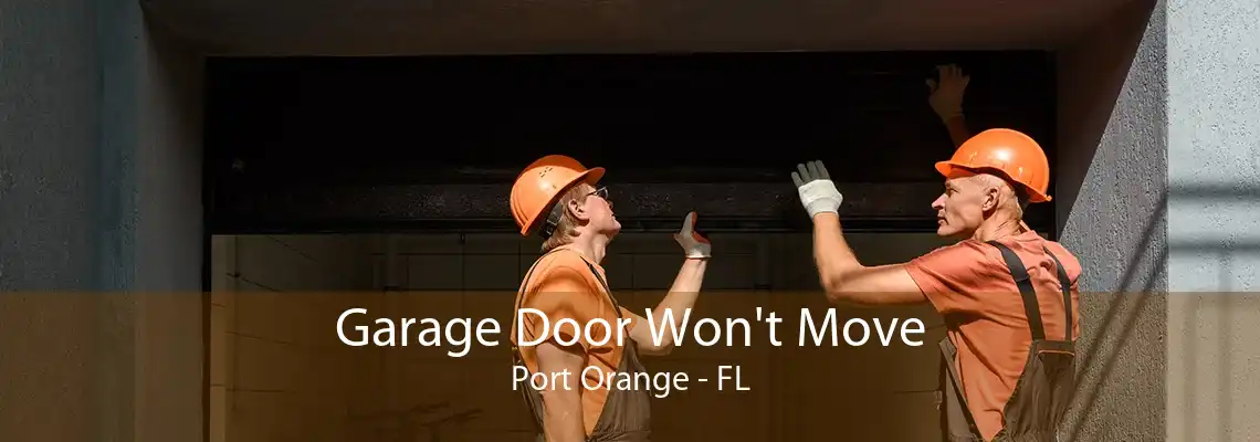 Garage Door Won't Move Port Orange - FL